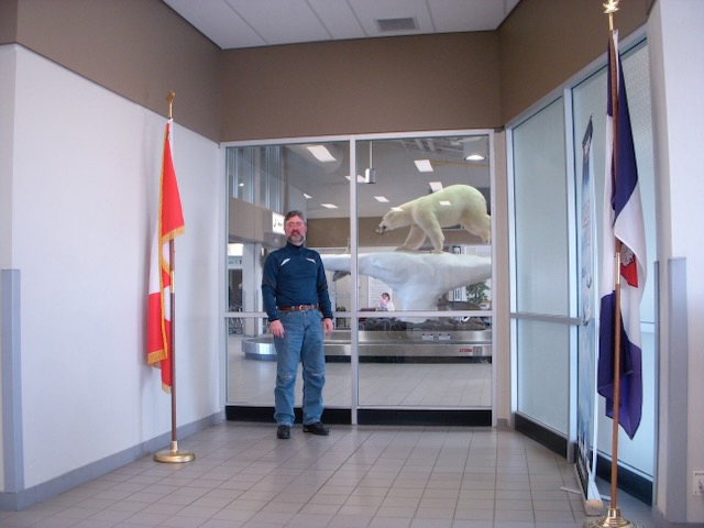 Polar Bear at Yellowknife Airport